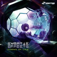 Cymatic Effects - Human Reality