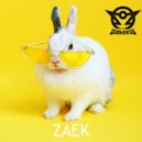 The Sektorz - ZAEK