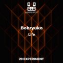Bobryuko - At the End of the Universe (Original Mix)