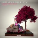 Jade Key & BrillLion & Aleesia - Love Don\'t Work Like That (feat. Aleesia) (Original Mix)