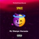 DJ Danya Voronin - Crazy Scientist (Original Mix)