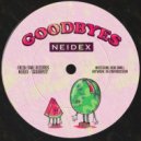 Neidex - With You