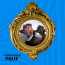 Prof - Animal Patrol