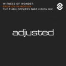 Witness Of Wonder - Emotion In Motion (The Thrillseekers 2020 Vision Mix)