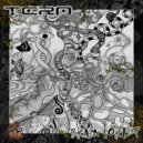 Tera, Madianbrains - Jungle Teleport (Original Mix)
