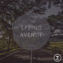 Junemix - In My Living Side (Original Mix)