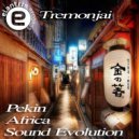 Tremonjai - Africa (Original Mix)