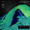 Erick Khalifa - Green Acid (Patrick Dandoczi Remix)