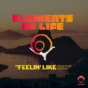 Elements Of Life - Feelin\' Like Rio (Original Mix)