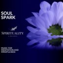 Michael Shaw - Saintly Divine