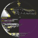 Menter - Simple Dreams