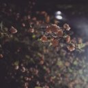 Flowers Manson - Days on End (Original Mix)