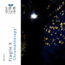 Fragile X - Reflective Vibrations