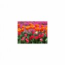 Mindfulness Healing BGM Project - Boolean and Nervousness (Original Mix)