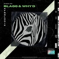 Blaqq & Why\'d - Afrologic