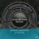 Lunatic Caricature - Groove Tech (Original mix)