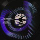 Radu Mirica, Alesse Kosso - Cycle Of A Butterfly (Original Mix)