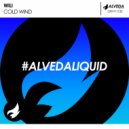 WiLi - Cold Wind (Original Mix)