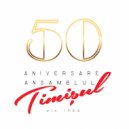 Ansamblul Timisul - Contratimp Conservare (Original Mix)