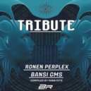 Atomic Pulse & Perplex - Stillera 2020 (Original Mix)