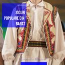 Ansamblul Timisul - Hora Mare