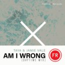TAYA. & Jamie Vale - Am I Wrong (Daytime Mix Radio Edit)