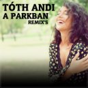 Toth Andi - A parkban (Matthew Beren & Delighters Remix)