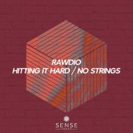 Rawdio - Hitting It Hard