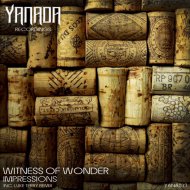 Witness of Wonder - Impressions