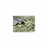 Mindfulness Healing BGM Project - Darwin and Relaxation