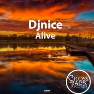 Djnice - Alive