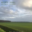 Ruimte Vogel - Promises (Original Mix)