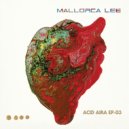 Mallorca Lee - The Melting Butterfly (Extended Mix)