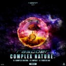 Raspber - Impact
