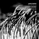Daniel Romero - Roted Diplomacy (Original mix)
