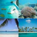 Fashionable Tropical Christmas - Auld Lang Syne - Christmas Holidays ()