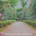 Tropical Christmas Orchestra - Go Tell it on the Mountain - Christmas Holidays ()
