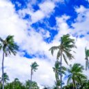 Tropical Christmas Seduction - Once in Royal David's City, Chrismas Shopping
