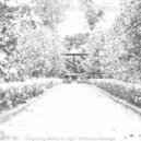 Tropical Christmas Vintage - Ding Dong Merrily on High, Chrismas Shopping ()
