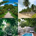 Tropical Christmas Retro - Christmas at the Beach - We Three Kings ()