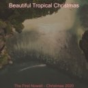 Beautiful Tropical Christmas - Christmas Massage Silent Night ()