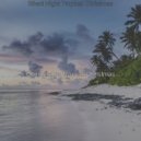 Comfortable Tropical Christmas - Christmas Massage - Joy to the World ()