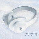 Kolya Funk - February 2021 Megamix ()