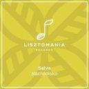 Selva - Nachtdisko (Original Mix)