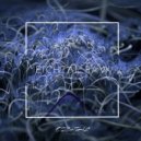 Jamie Christer - Dimensions