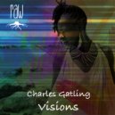 Charles Gatling - Visions (Beats & Freaks Mix)