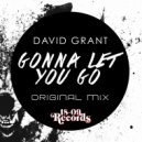 David Grant - Gonna Let You Go (Original Mix)