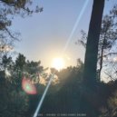 Ruimte Vogel - Dissolving Matter
