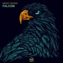 Magic Sound - Falcon (Extended mix)