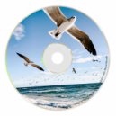 Hermann - Tranquil (Original mix)